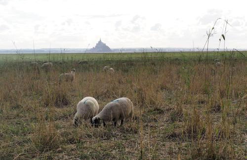 Gîte Locations des 4 saisons - Foto 13