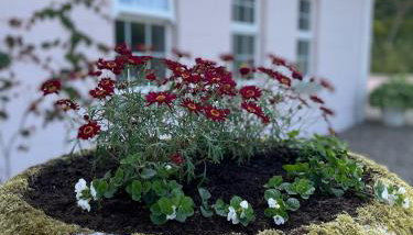 The Cottage at Riverbank - Foto 4, Garden, Garden view