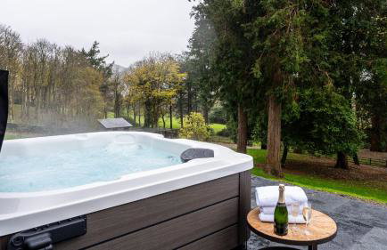 Plas Madoc Coach House - Foto 33