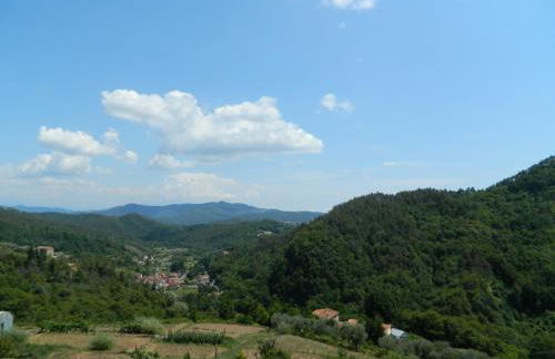 Country House - Foto 24