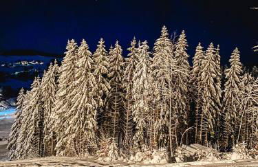 Ferienwohnungen Am Skilift - Foto 75