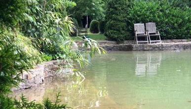 Die Landhaus Suite im Landhaus im Park - Foto 4, Garden