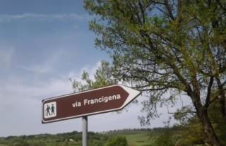 Fattoria di Mugnano - Foto 24