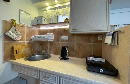 Apartamenty pod Wiciokrzewem - Foto 16