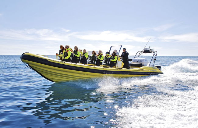 Hostel Villa Zorana - Foto 29