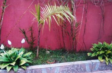 Cantinho da Paz - Foto 8