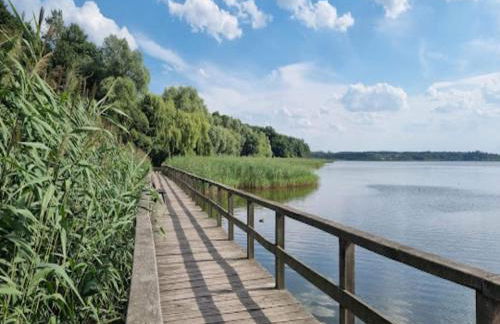 Feriendorf am Weinberg, Dobbrikow - Foto 27