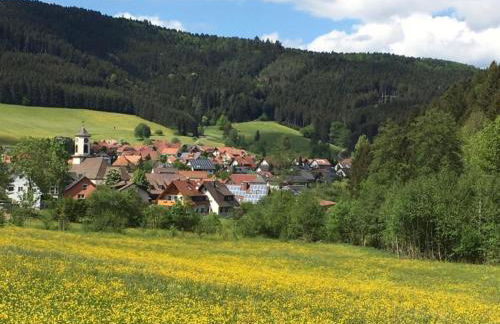 Ferienwohnung in Schiltach - Foto 69