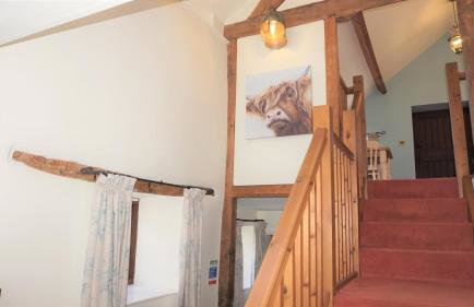 Shepherd's Watch Cottage - 5* Cyfie Farm with private hot tub - Foto 15