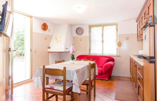 Appartamenti in Villa con ampio giardino esterno - Foto 17