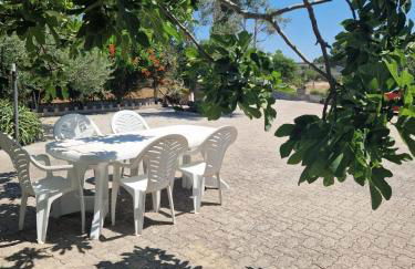 Casa vacanza Matino Gallipoli Salento - Foto 5