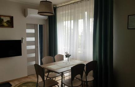 Willa Orle Gniazdo - Foto 22