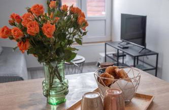 Le Nid- Balcon jolie vue - St Etienne-sud - Foto 8