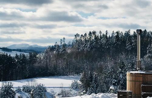 Wilcza Chata - Photo 80