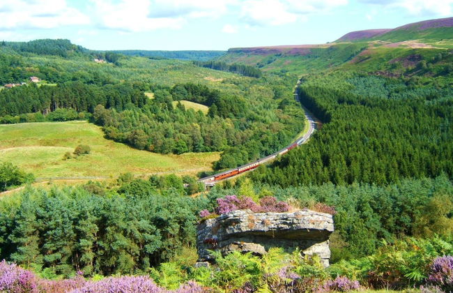 Rawcliffe House Farm - Foto 57