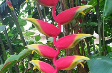 Tranquilidade e linda vista da lagoa - Foto 36