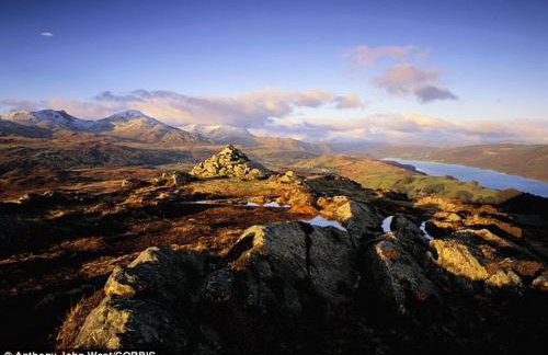 Buxton Mews - Photo 20