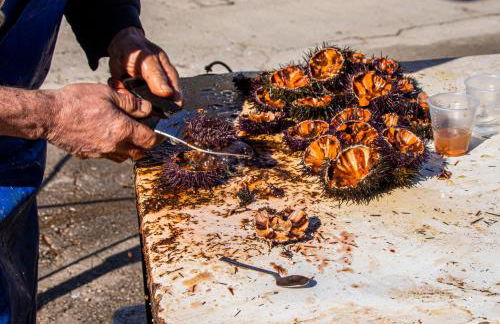 Ciuri Ciuri - Foto 43