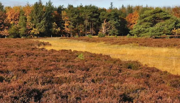 4 Star Holiday Home in Bogense - Foto 4, Miscelánea