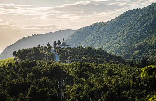 Nera Etwa House - Photo 51