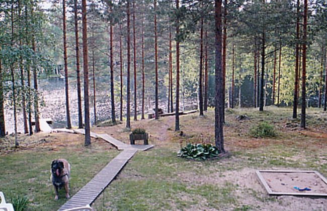 Aittolahti 1 - Foto 7