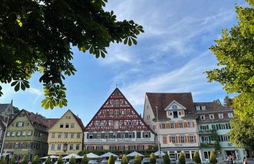 SecondHome Stuttgart - Very nice apartment near historic city centre at Blumenstr 58 in Esslingen am Neckar - W2 - Foto 42