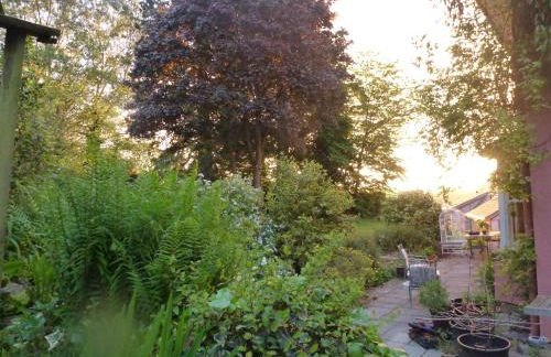 Thatch Close Cottages - Foto 25