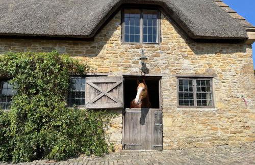 Jerards Stables - Foto 29