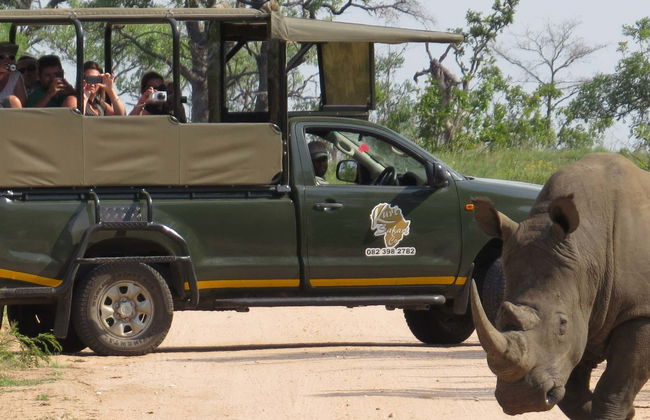 Kruger National Park 4-Day Safari - Photo 1