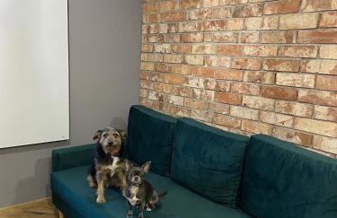 Apartament Rose Valley Dwa Zero - Foto 9