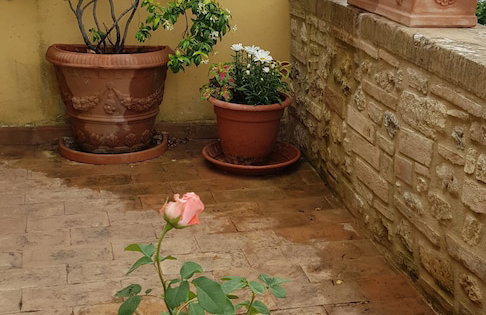 Palazzo al Torrione 2 - Photo 16