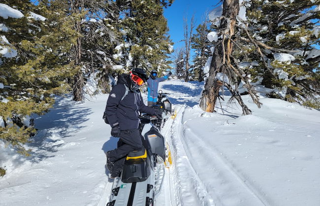 Glenn Haven by Cloud Dream Homes - Foto 32