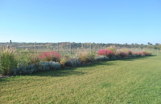 Agriturismo I Profumi dell'Orto - Foto 24