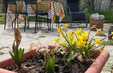 Wiejska chatka - Foto 11