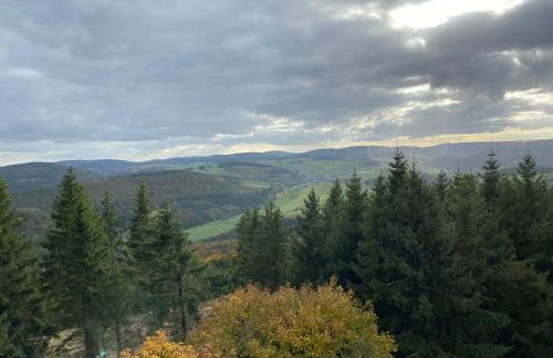Schönwald Waldchalet am Musenberg - Foto 13