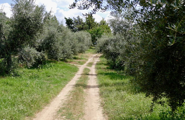 Agriturismo Via del Campo - Foto 28