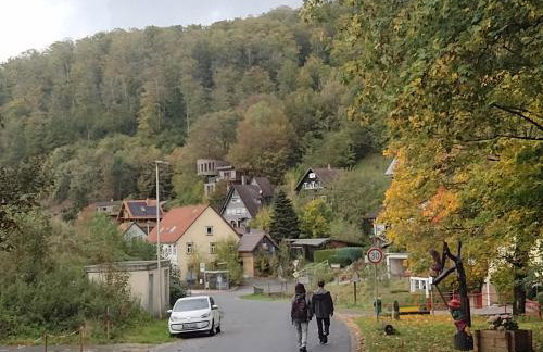 Olifant in Osterode - Foto 65