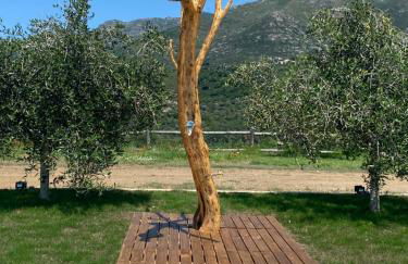 APICULTEUR - Foto 12