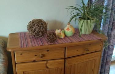 Ferienhof Alte Schmiede - Foto 10