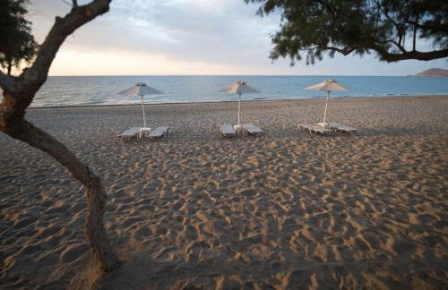 Electra Studios - Foto 23