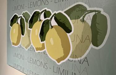 Ciuri Ciuri Guest Apartments - Foto 20