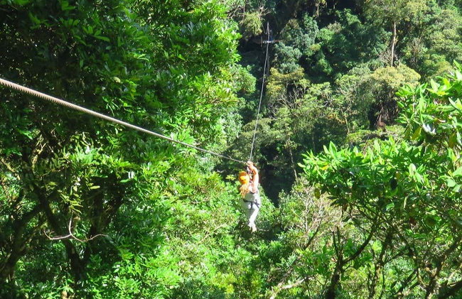 Tirolina en el Parque Nacional La Amistad - Foto 7