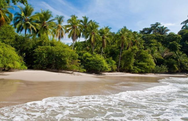 Villas María Luisa Lodge - Photo 63