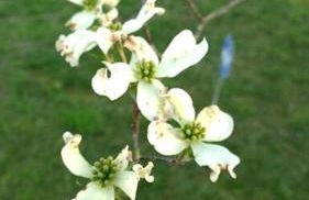 Tranquil Cabin with Hot Tub & Creek Views Near Bass Pro, Kodak Tennessee - Foto 20