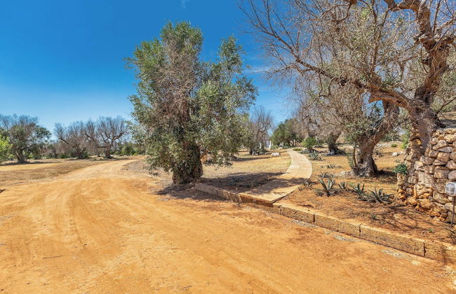 3621 Tenuta Terra del Sole by Perle di Puglia - Foto 32