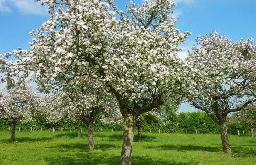 Gold Beach Studio - Foto 9