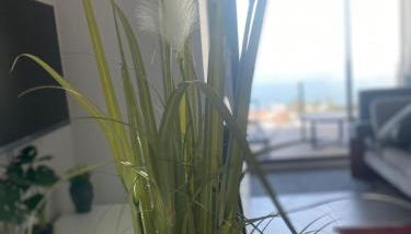 Luxury Penthouse best sea views in Blue Suite 5302 - Photo 5