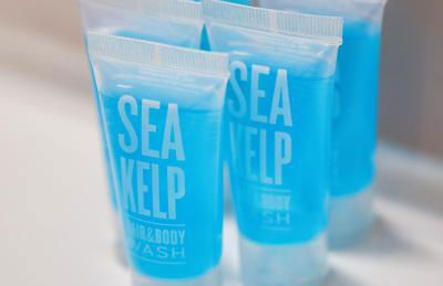 Le Jardin du Lez - Parking Privé et Gratuit - Wifi Fibre - Rives du Lez - Photo 10