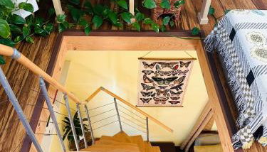 Blissful Acres hilltop cottage - Photo 5