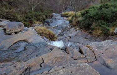 Cluny Mains - Foto 32